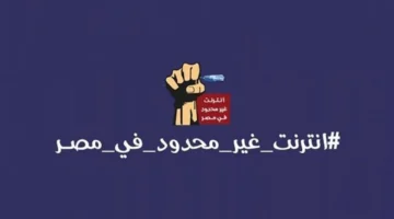 تحرك برلماني عاجل.. مطالب بتطبيق إنترنت بلا حدود في مصر لمواجهة نفاد الباقات